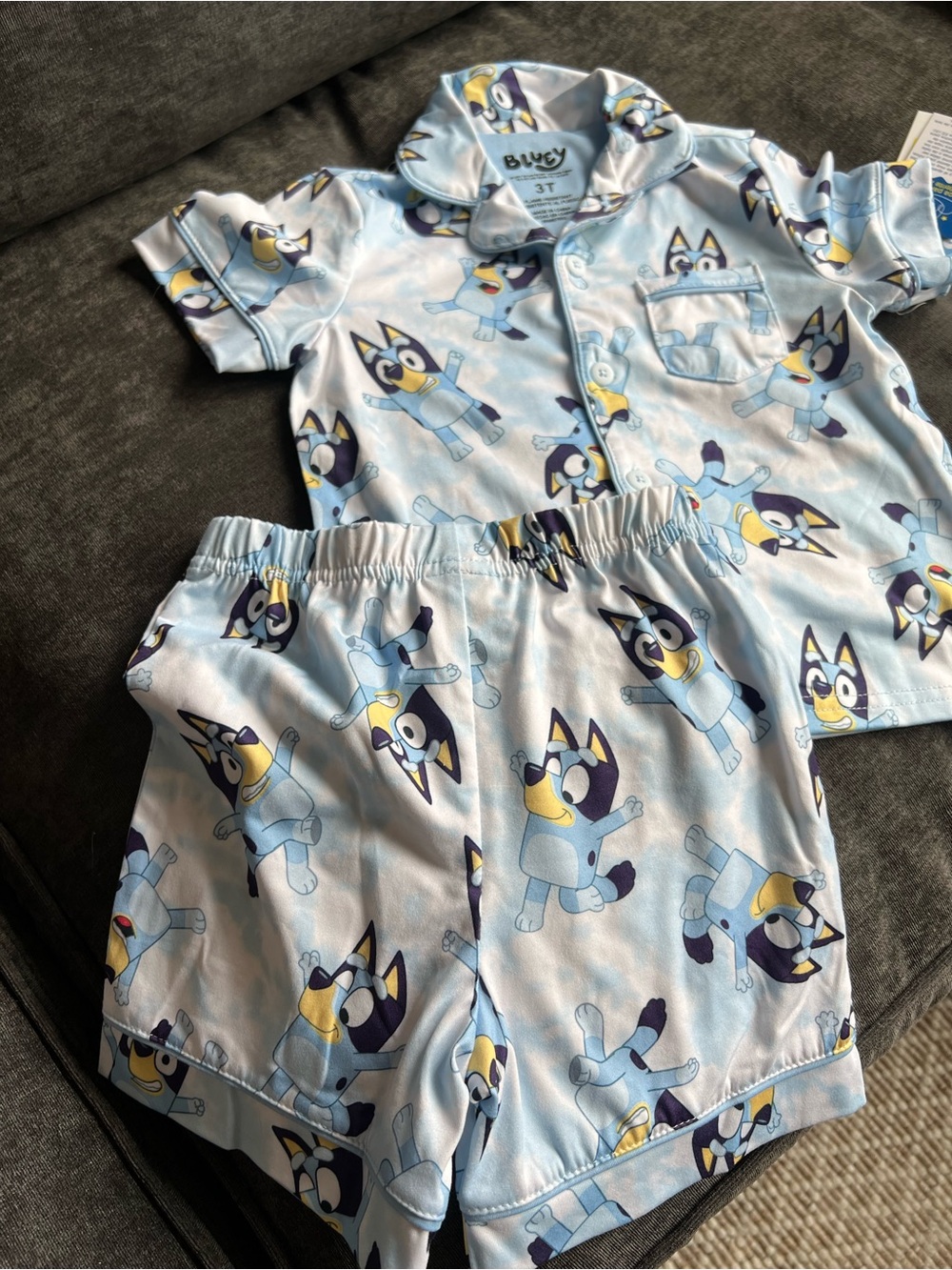 Bluey toddler pajama set size 3T NWT $15